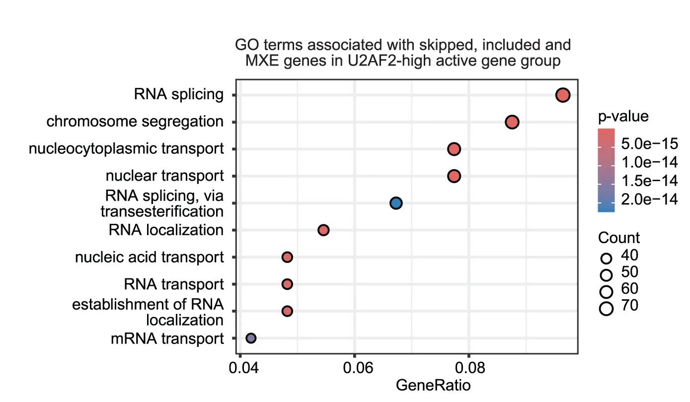 Open access visualization of Scatter Plot, Bubble Plot, Volcano Plot, GO Terms, U2AF2-High Active Genes