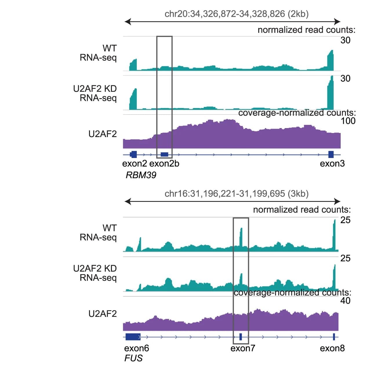 Open access visualization of Line Plot, Density Plot, Transcript Signal, WT, U2AF2 KD