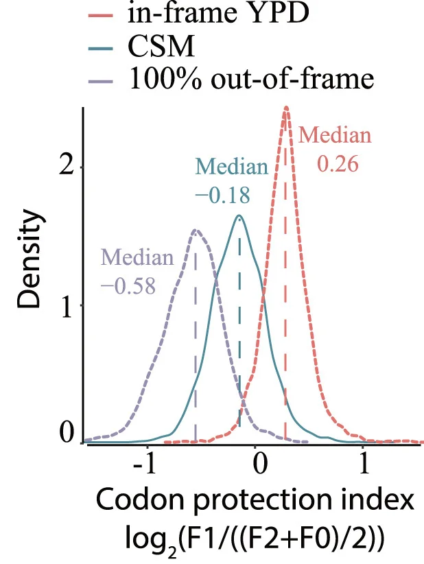 Open access visualization of Density Plot, Codon Protection Index, YPD, CSM, Out-of-Frame Decay