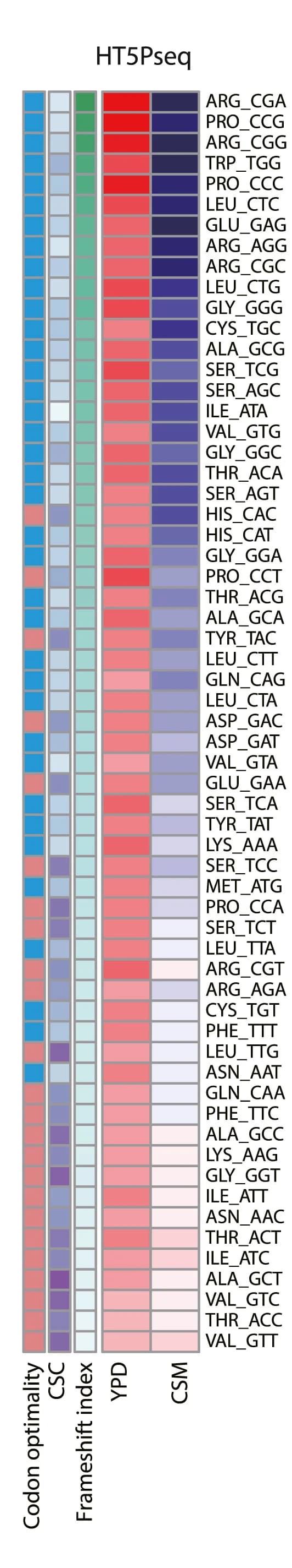 Open access visualization of Heatmap, 5PSeq coverage, Codons, Codon Stability Coefficients, Codon Optimality
