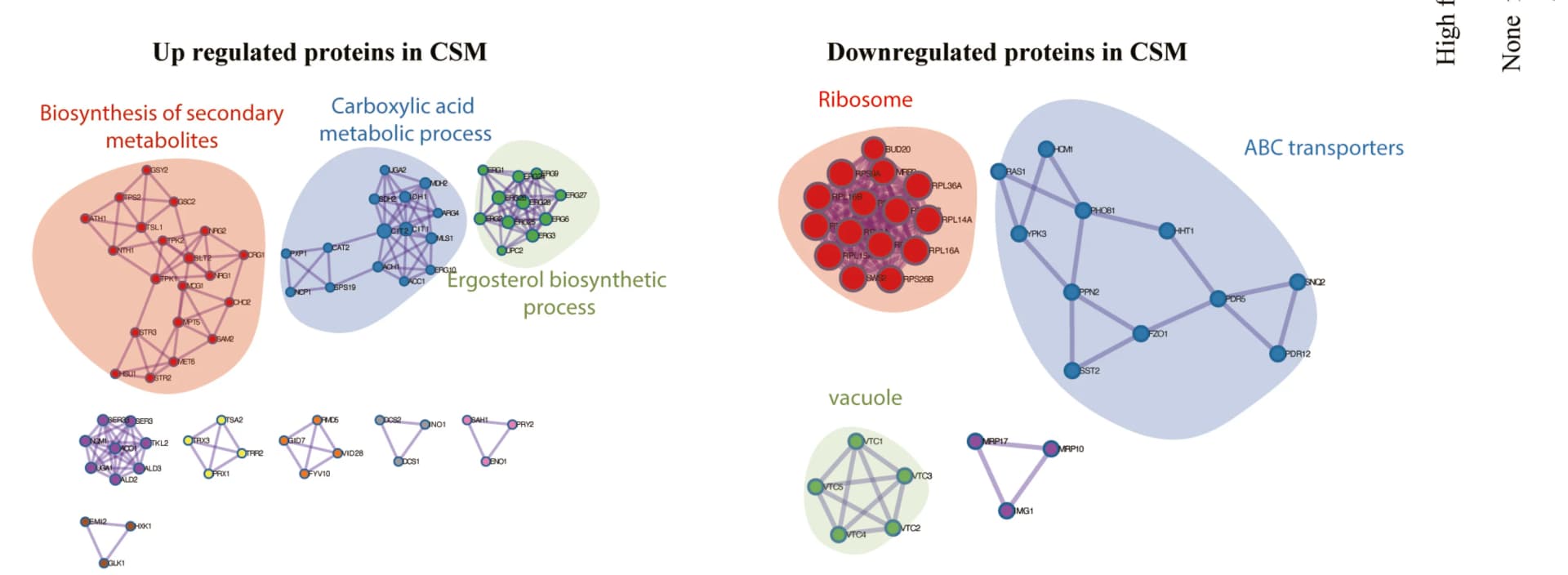 Open access visualization of Network, Pathway, Upregulated Proteins, Downregulated Proteins, Protein-Protein Interactions