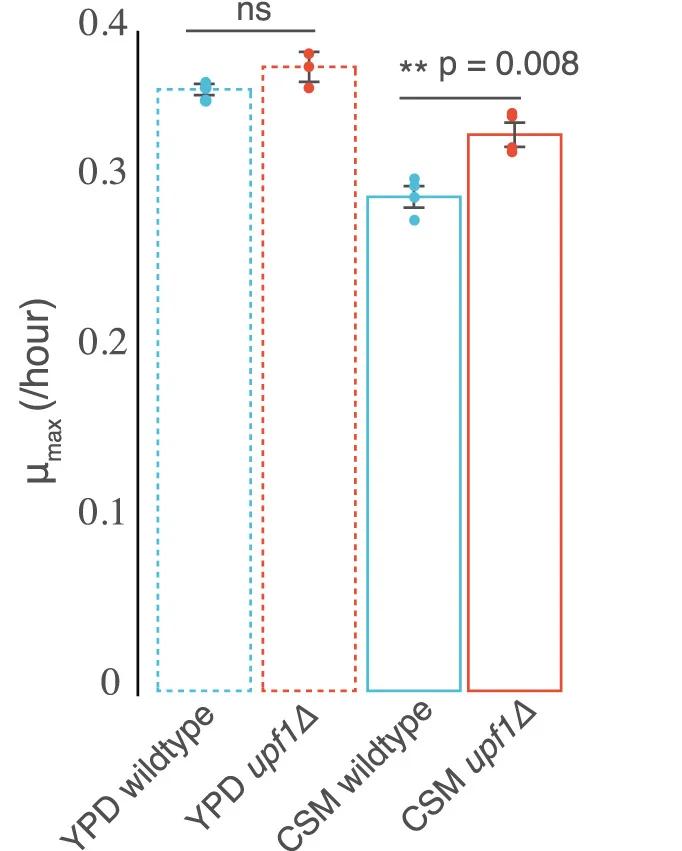 Open access visualization of Bar Plot, Error Bars, Growth Rate, Wild-Type, NMD Mutant