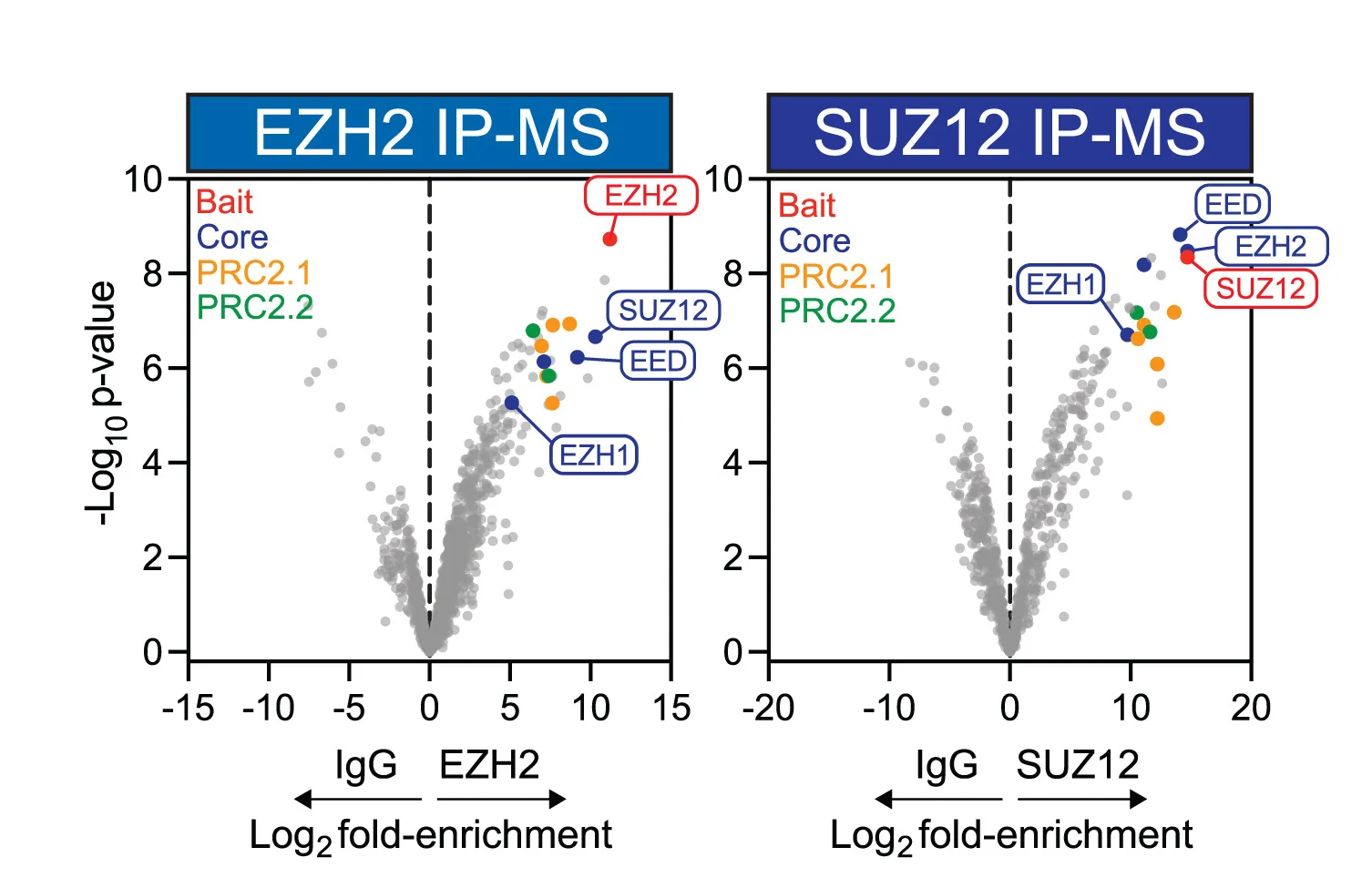 Open access visualization of Volcano Plot, Scatter Plot, Volcano Plots, Endogenous IPs, Mass Spectrometry