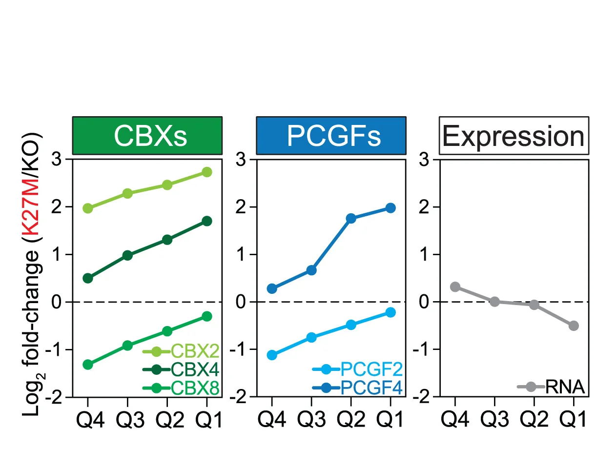 Open access visualization of Line Plot, Line Plots, Chromatin Occupancy, CBX2, CBX4