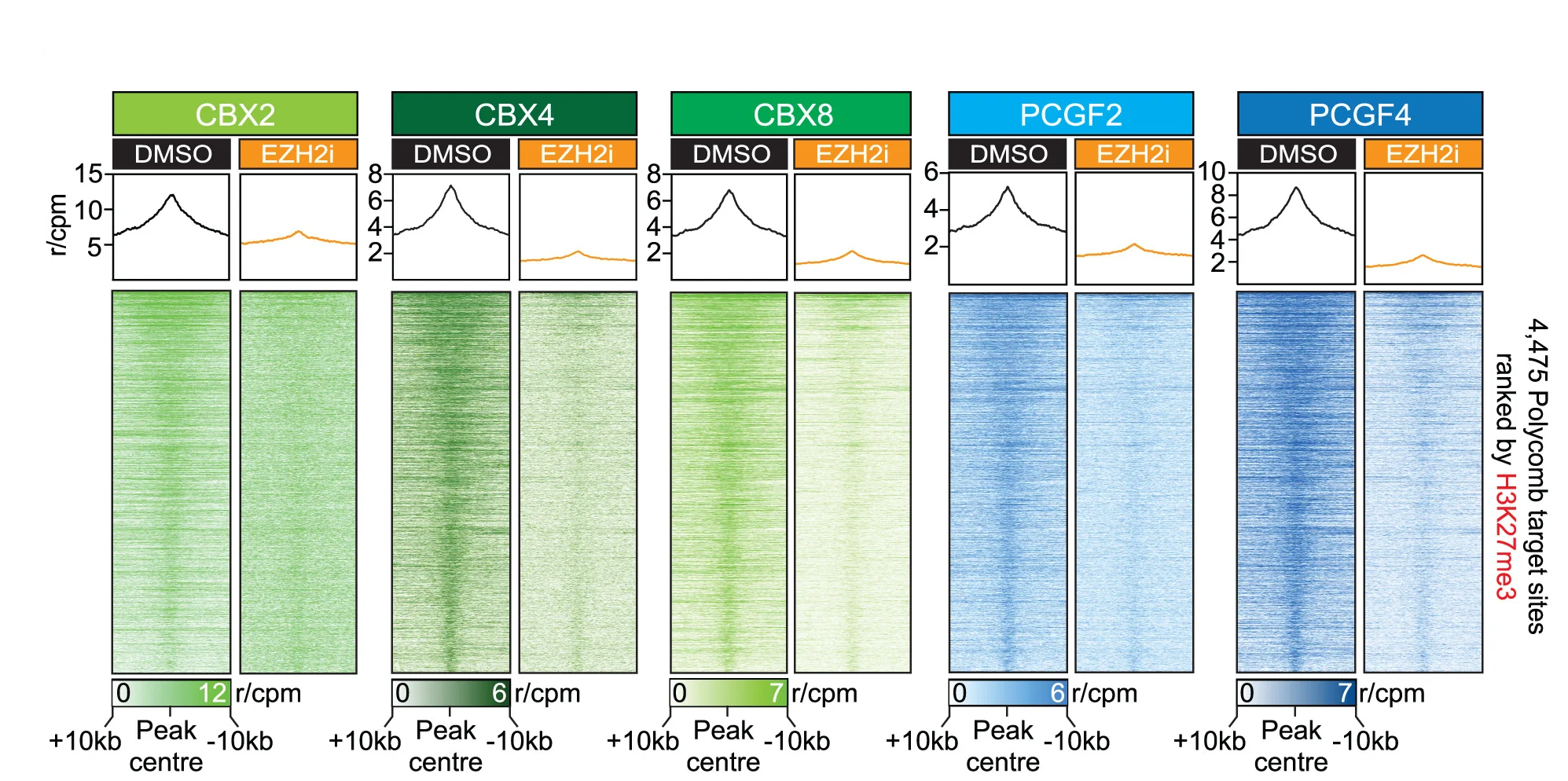 Open access visualization of Heatmap, Line Plot, Tornado Plots, Average Plots, CUT&RUN-Rx
