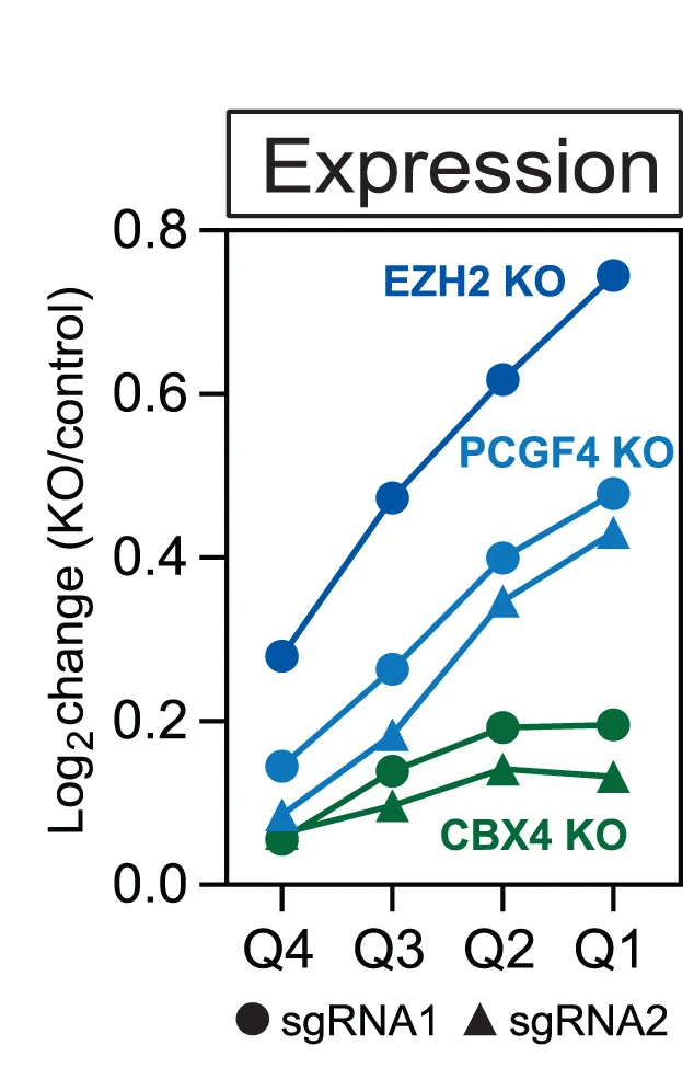 Open access visualization of Line Plot, Scatter Plot, Log2fold Change, RNA Abundance, PRC1/2 Target Genes