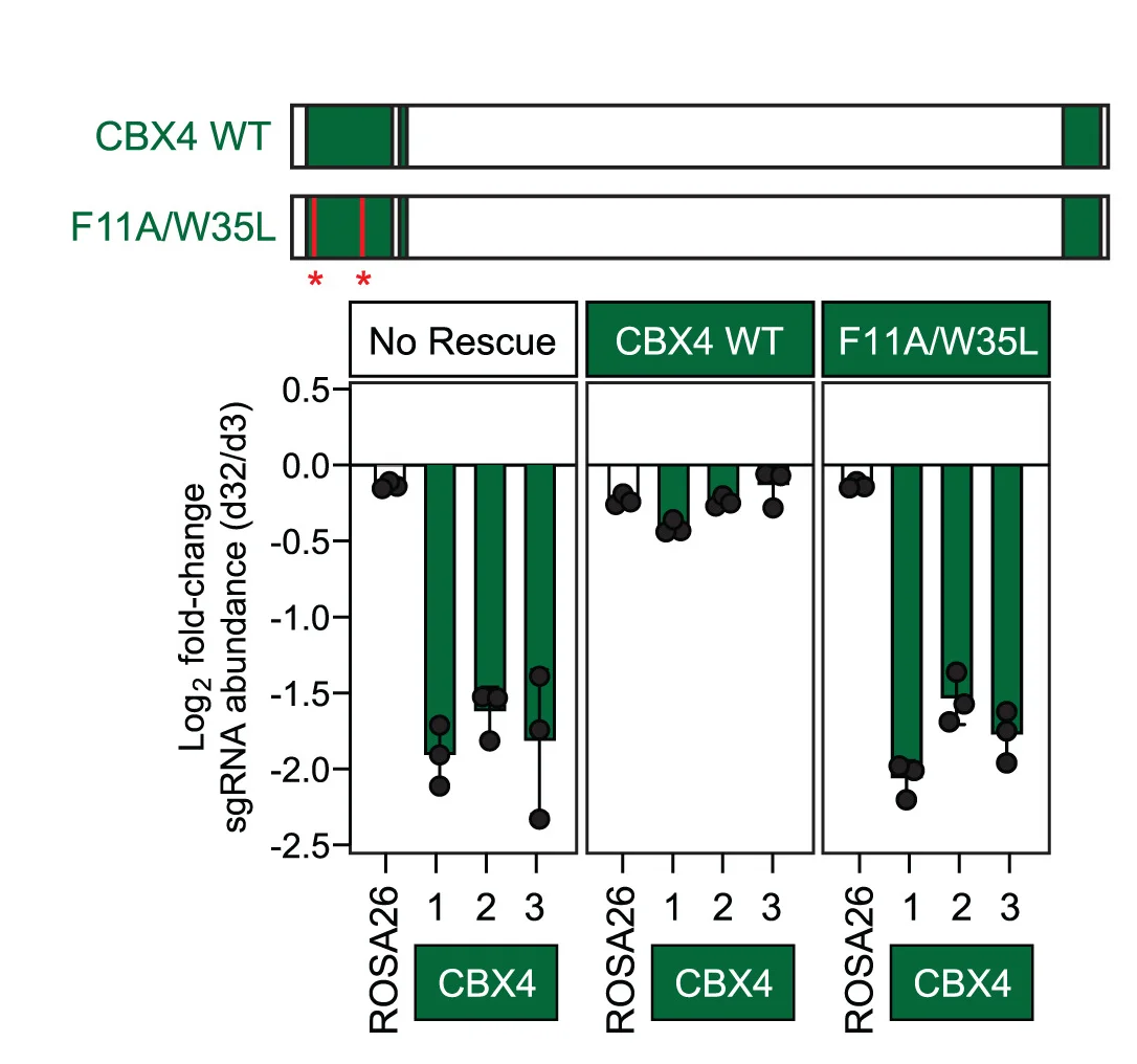 Open access visualization of Bar Plot, Scatter Plot, Error Bars, CRISPR-resistant, CBX4 WT