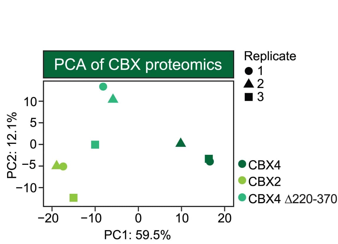 Open access visualization of Scatter Plot, PCA, Principal Component Analysis, IP-MS