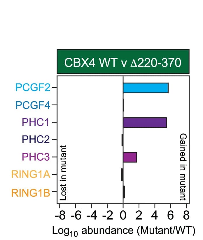 Open access visualization of Bar Plot, cPRC1 Protein Subunits, IP-MS, Fold Change