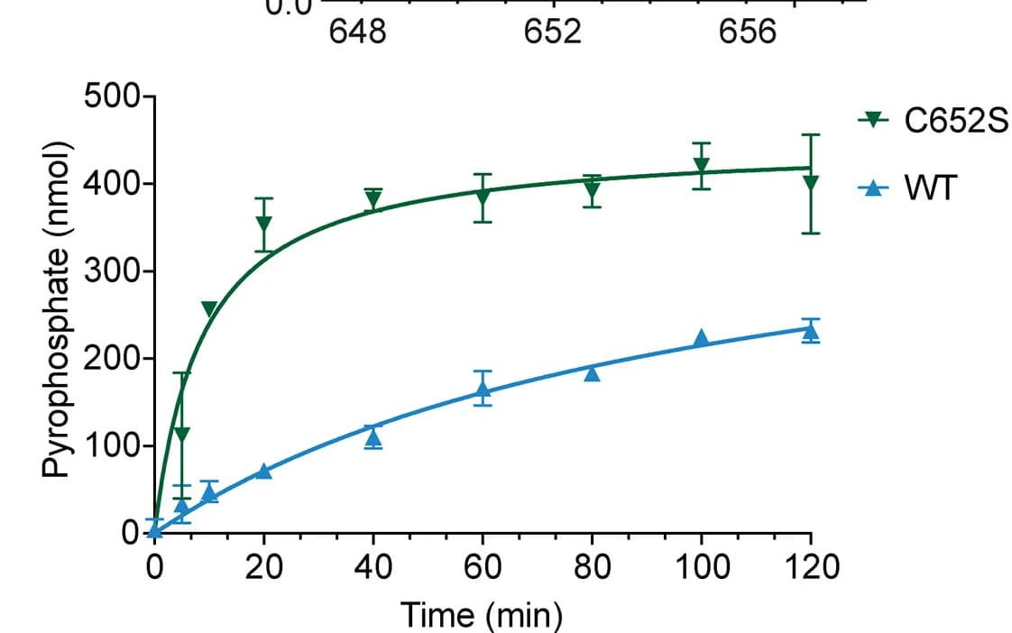 Open access visualization of Line Plot, Error Bars, In Vitro Assay, Chromogenic Activity, OAS2 Wild Type