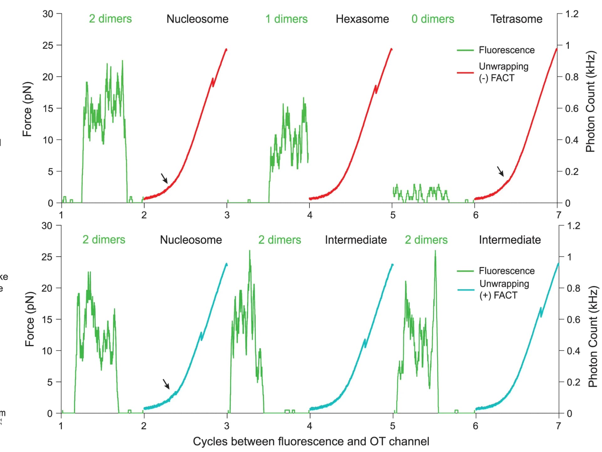 Open access visualization of Line Plot, Force-Time Trajectories, Nucleosomes, FACT, Fluorescence Measurements