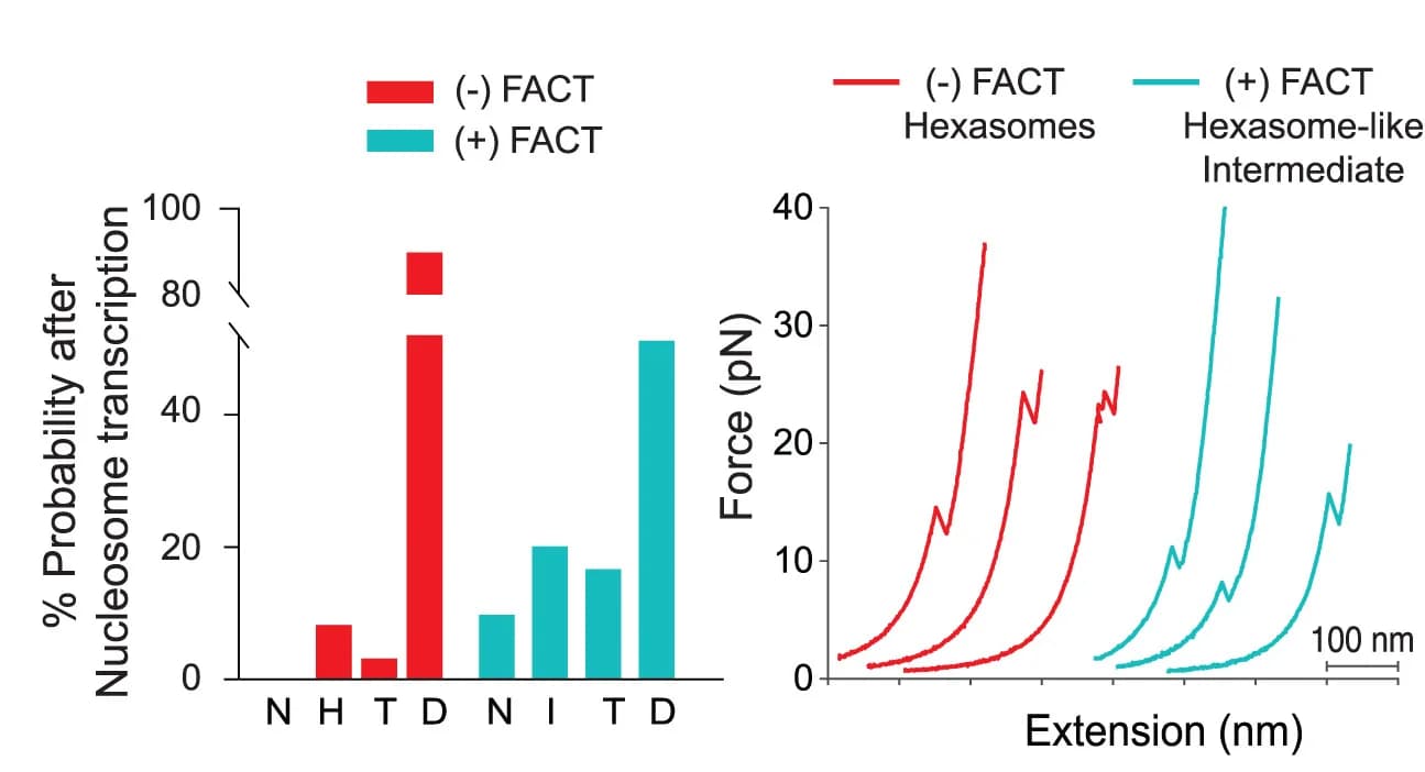 Open access visualization of Bar Plot, Line Plot, Nucleosomes, Hexasomes, Intermediates
