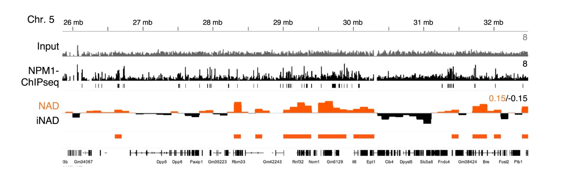 Open access visualization of Bar Plot, Integrative Genomics Viewer, NPM1, Genome Occupancy, NAD Profiles