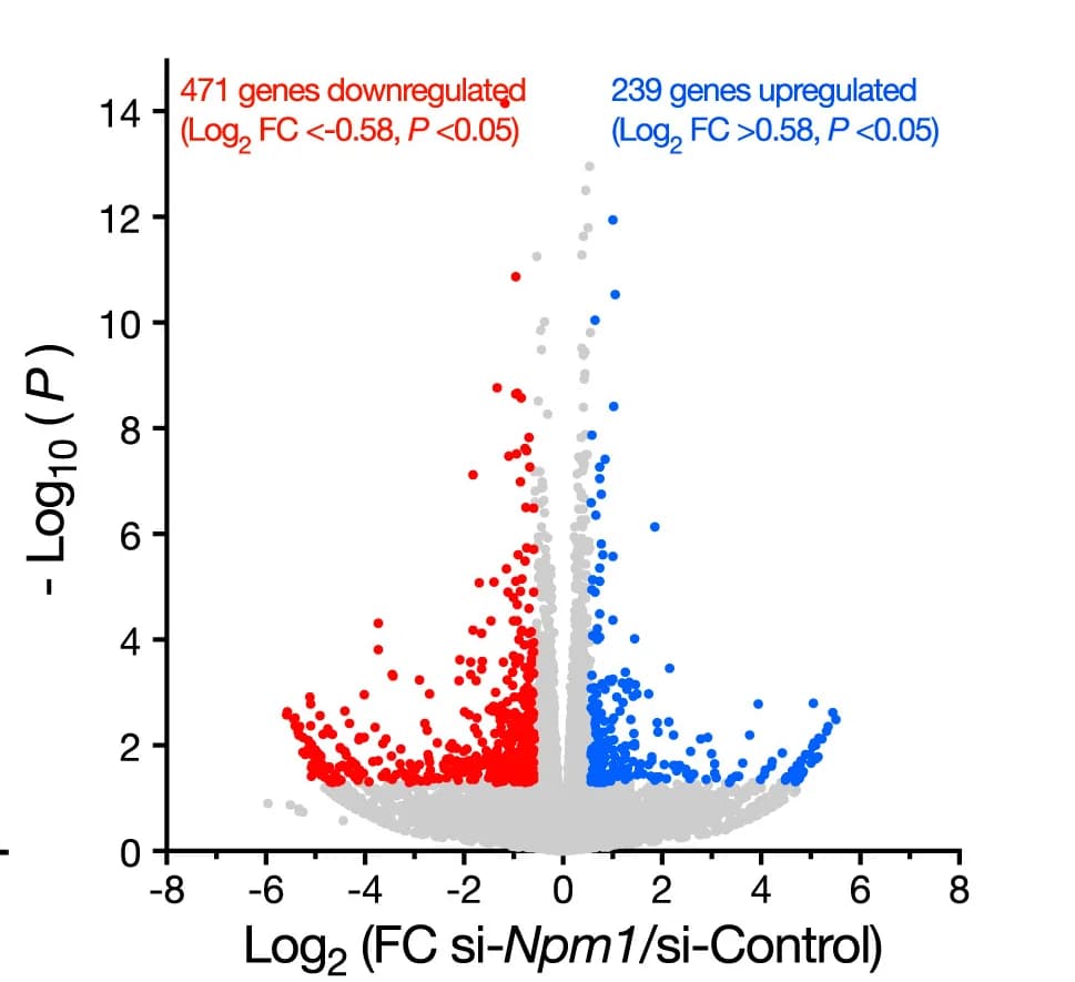 Open access visualization of Volcano Plot, Scatter Plot, Fold Change, Transcript Levels, mESCs