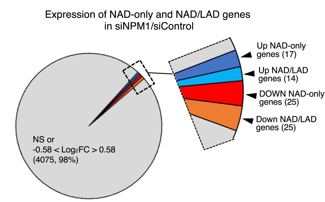 Open access visualization of Pie Chart, Genes, NAD-only, NAD/LAD Regions, Upregulated