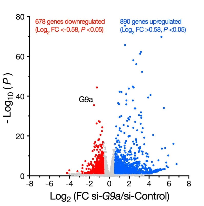 Open access visualization of Volcano Plot, Scatter Plot, Fold Change, Transcript Levels, mESCs