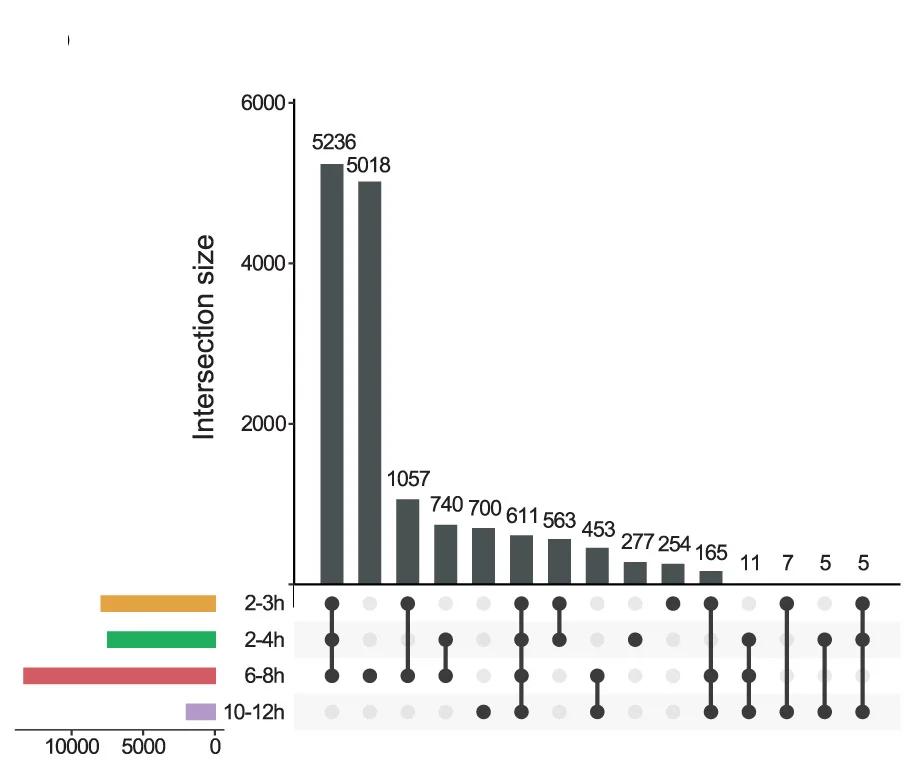 Open access visualization of Bar Plot, UpSet, Upset Plot, Chip Peaks, Embryogenesis