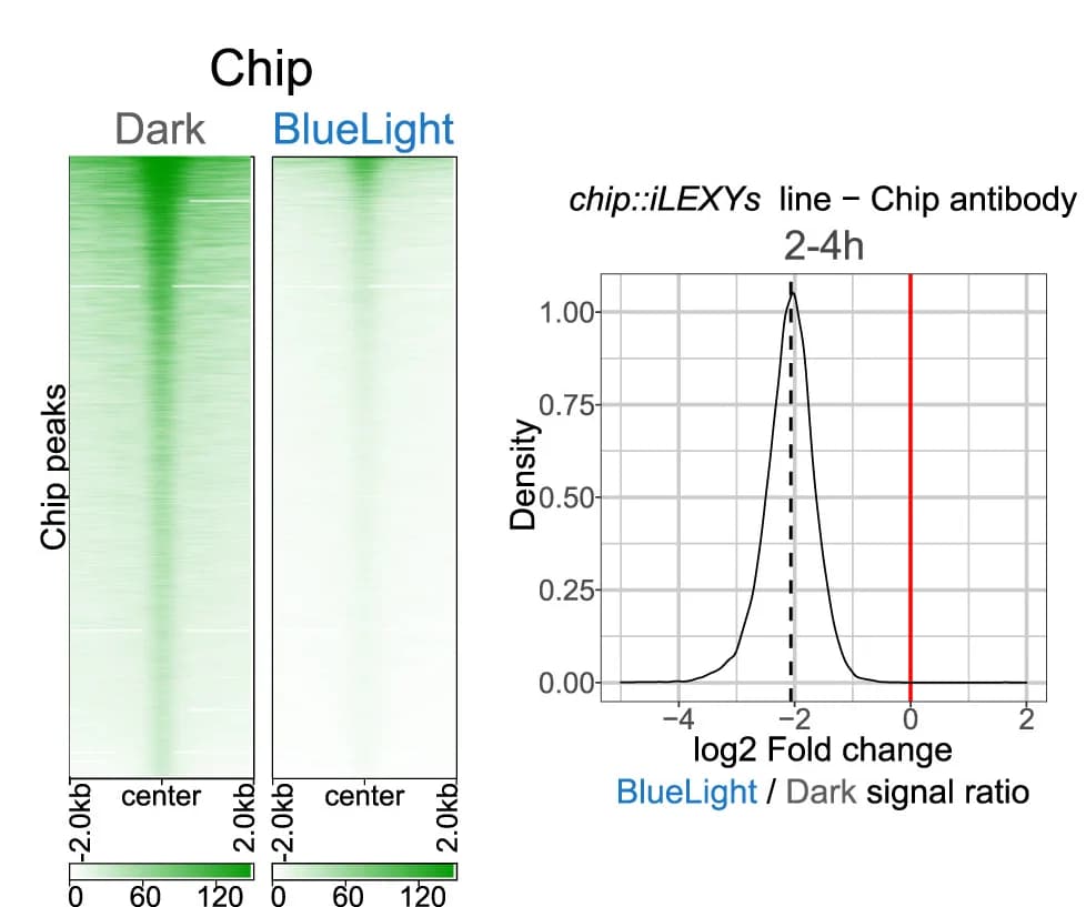 Open access visualization of Heatmap, Density Plot, Chip, CUT&Tag, Embryos