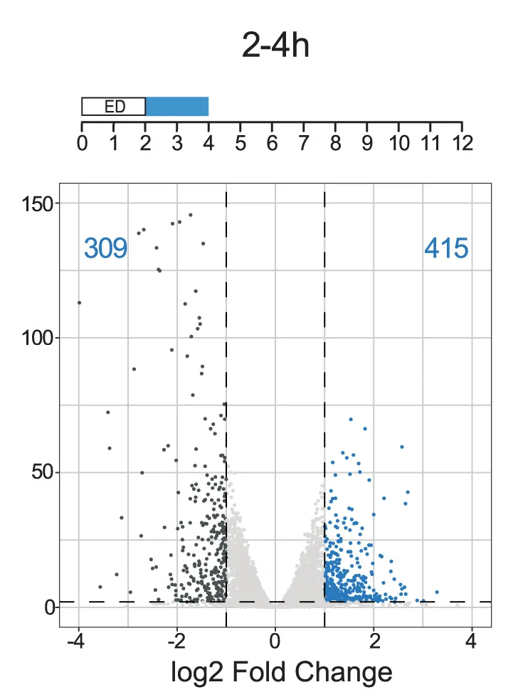 Open access visualization of Volcano Plot, Bar Plot, Volcano Plots, Differentially Expressed Genes, Embryogenesis