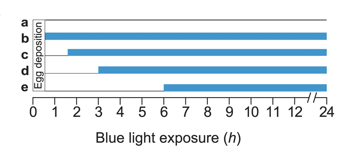 Open access visualization of Bar Plot, Time Windows, Blue Light Exposure, Egg Deposition, Embryonic Viability