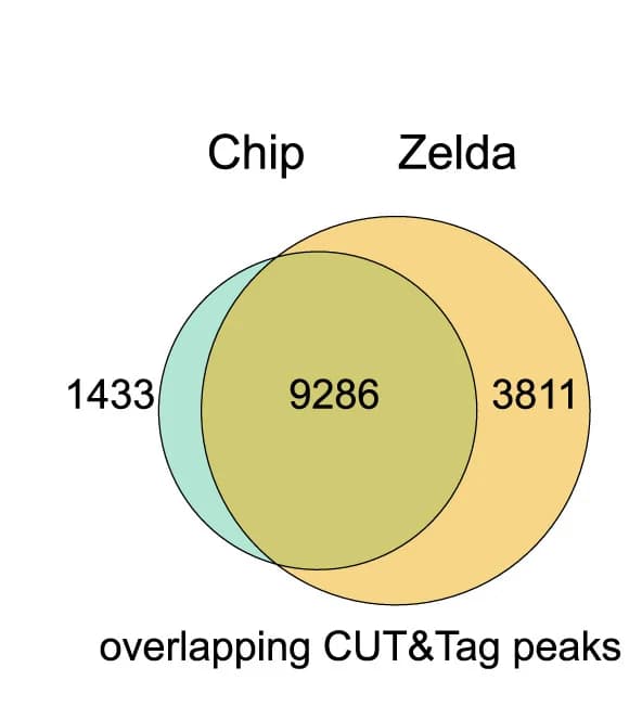 Open access visualization of Venn Diagram, CUT&Tag, Embryos, Chip, Zelda