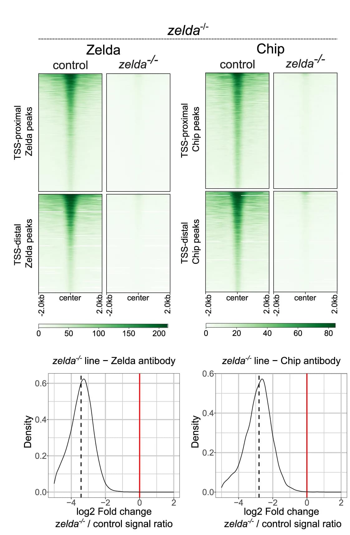 Open access visualization of Heatmap, Density Plot, Heatmaps, CUT&Tag, Chip
