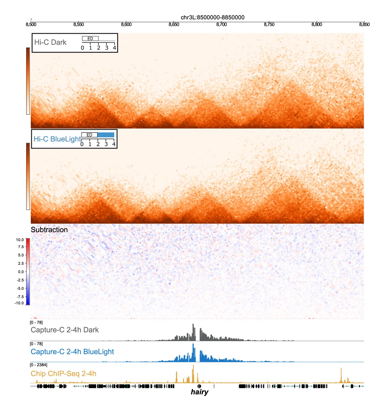Open access visualization of Heatmap, Line Plot, Hi-C Contact Matrices, Embryos, Blue Light Exposure