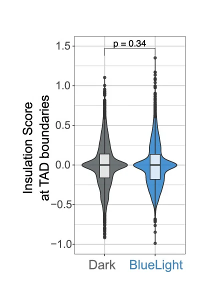 Open access visualization of Violin Plot, Box Plot, Scatter Plot, Insulation Scores, TAD Boundaries