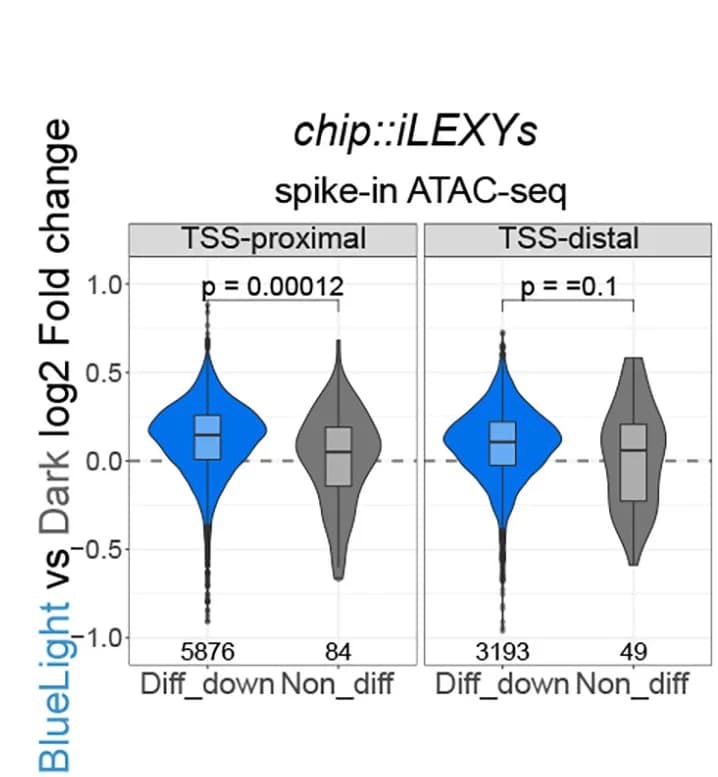 Open access visualization of Violin Plot, Box Plot, Violin Plots, ATAC-seq Signal, iLEXYs Embryos