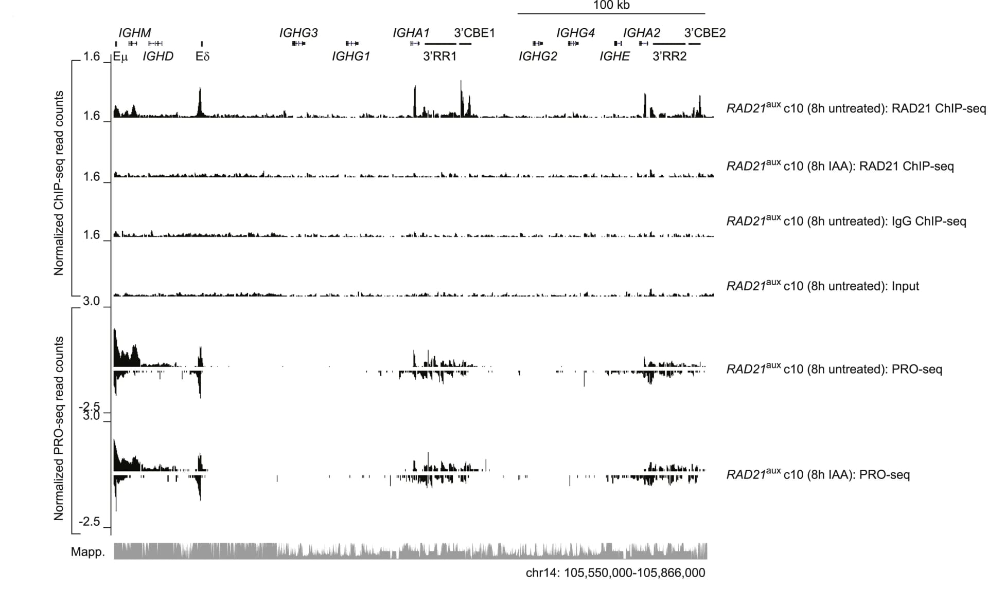 Open access visualization of Line Plot, RAD21 ChIP-seq, PRO-seq, IGH, IAA-treated Cells