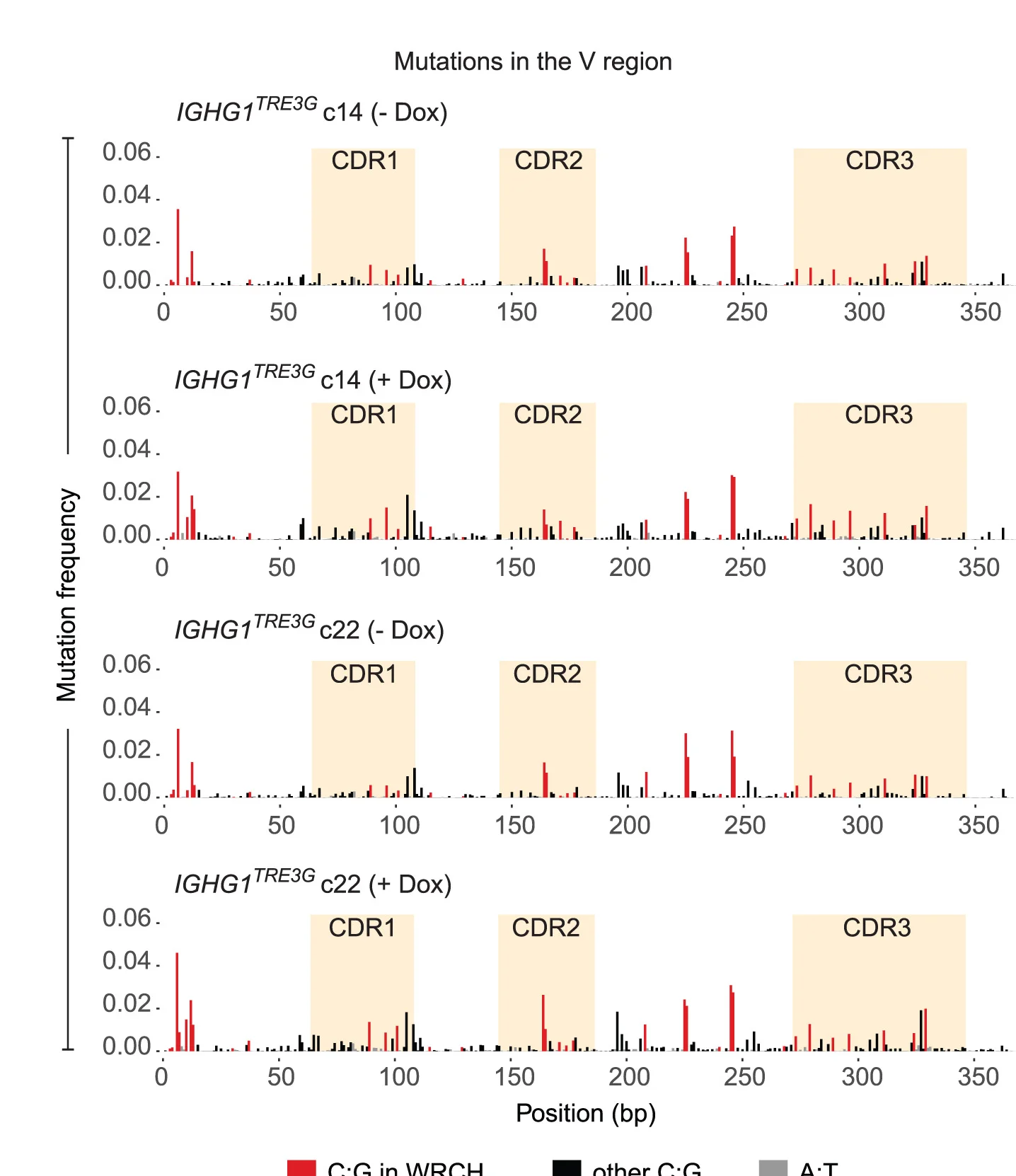 Open access visualization of Bar Plot, MutPE-seq, V Region, AIDm7.3, Dox