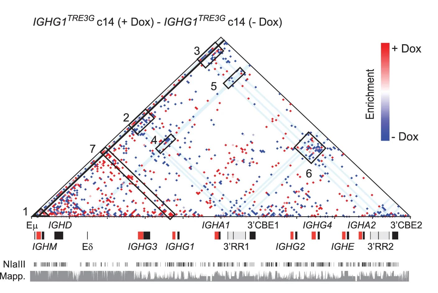Open access visualization of Scatter Plot, Heatmap, Difference Matrix, Contacts, Dox-treated cells