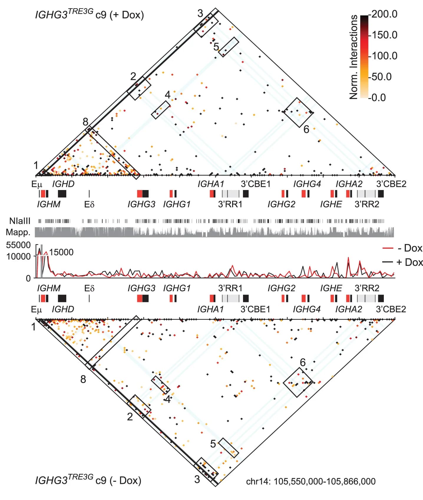 Open access visualization of Scatter Plot, Line Plot, Heatmap, Tri-C Analyses, Dox-treated cells