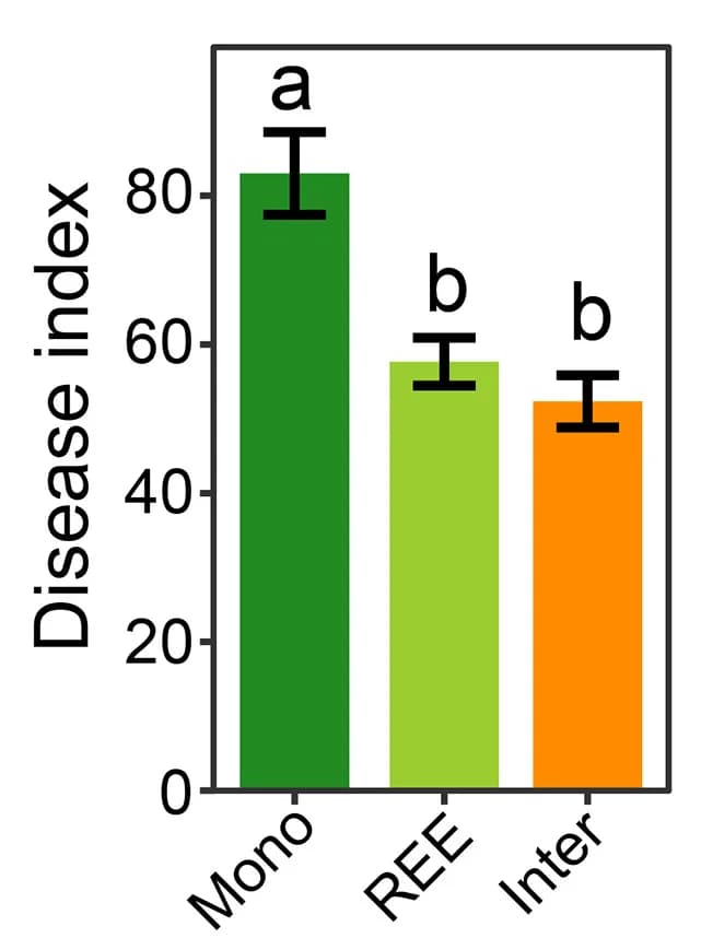 Open access visualization of Bar Plot, Error Bars, Verticillium Wilt, Disease Index, Treatment Effect