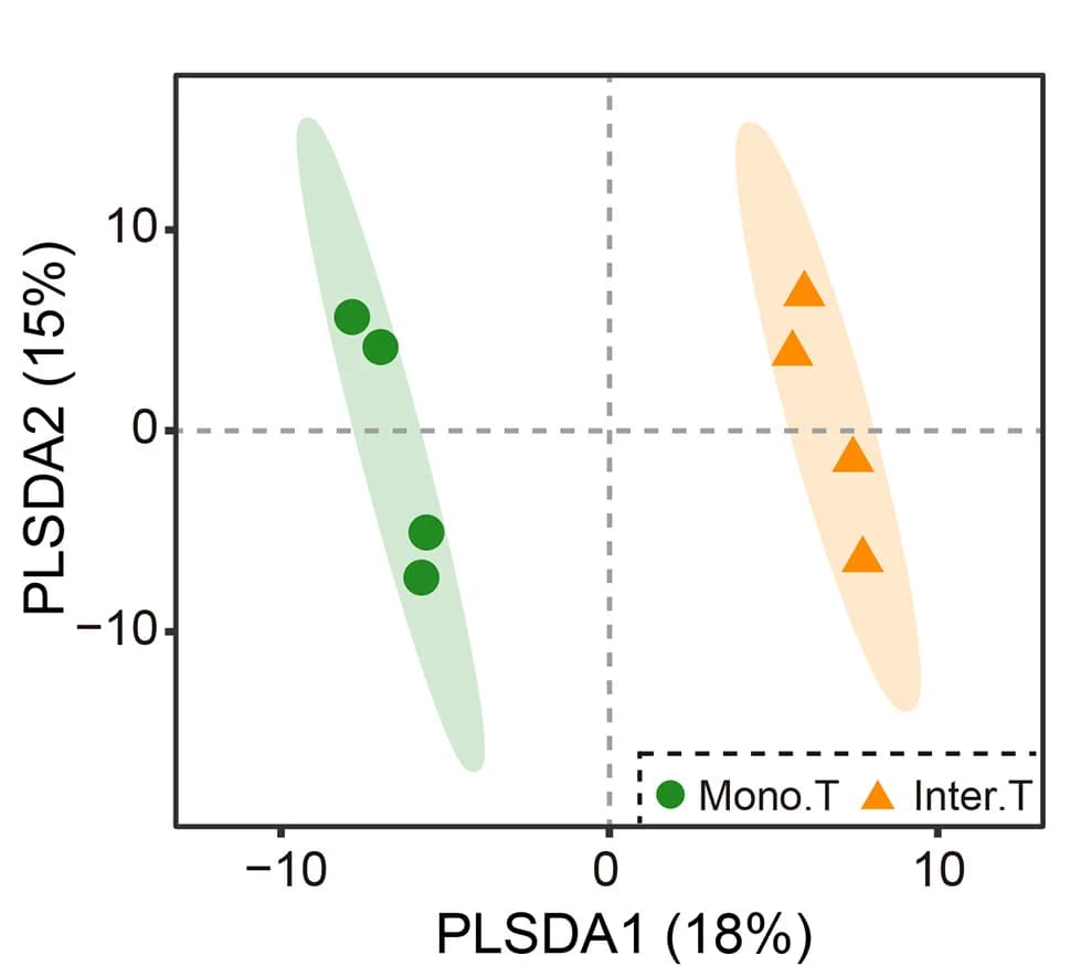 Open access visualization of Scatter Plot, PCA, PLS-DA, Score Plots, Chemical Composition