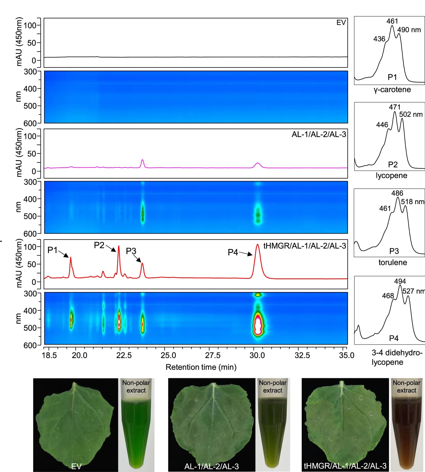 Open access visualization of Line Plot, Heatmap, Spectrogram, Photo, UHPLC-DAD