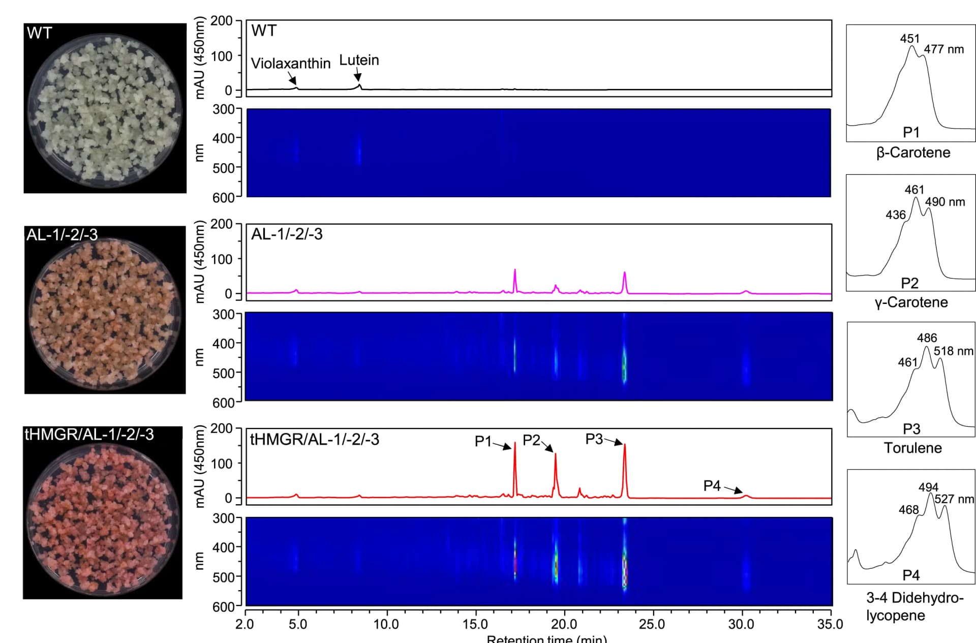 Open access visualization of Line Plot, Spectrogram, Photo, UHPLC-DAD/UV Chromatogram, WT Callus