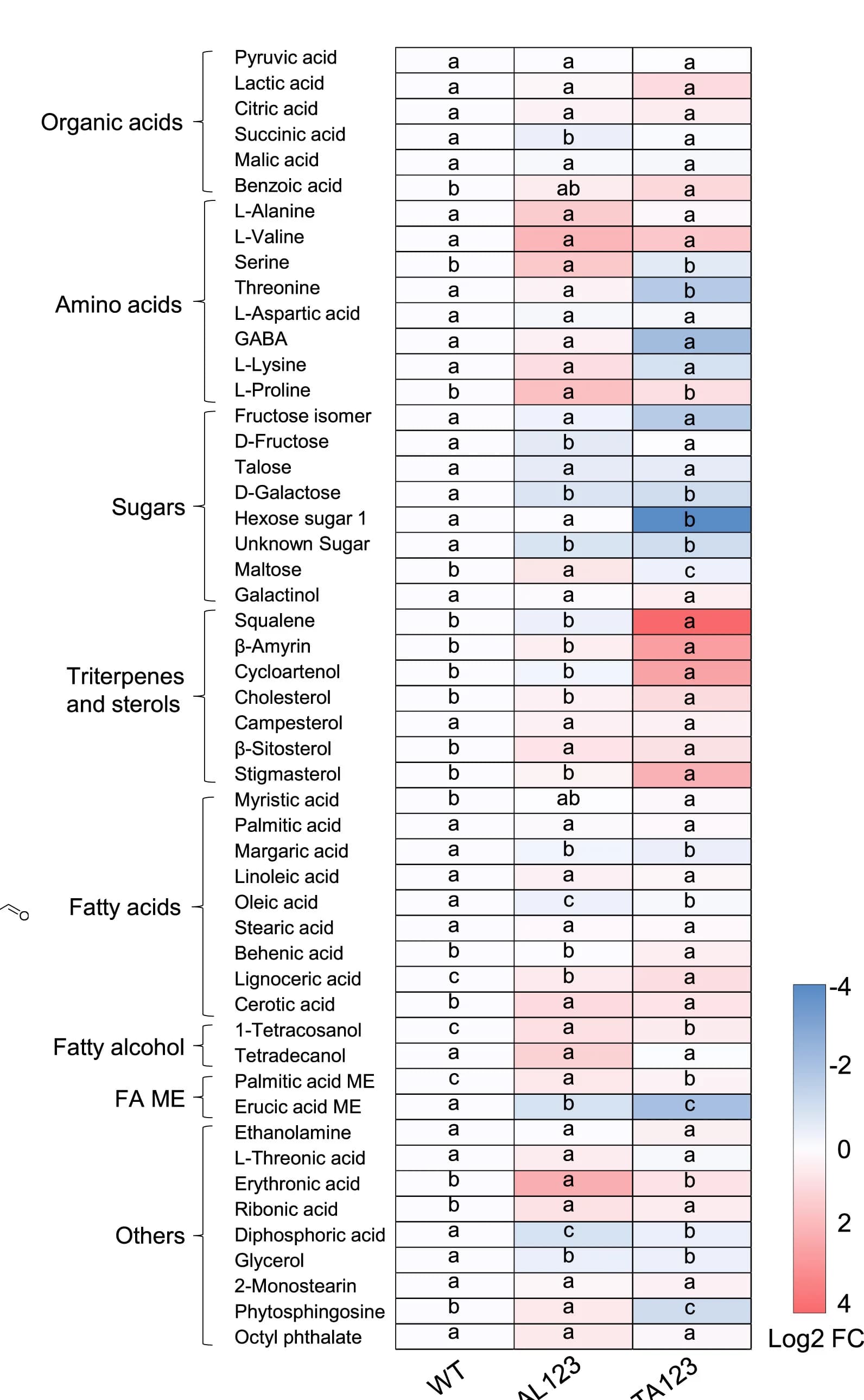 Open access visualization of Heatmap, Primary Metabolites, Secondary Metabolites, Transgenic Callus, GC-MS