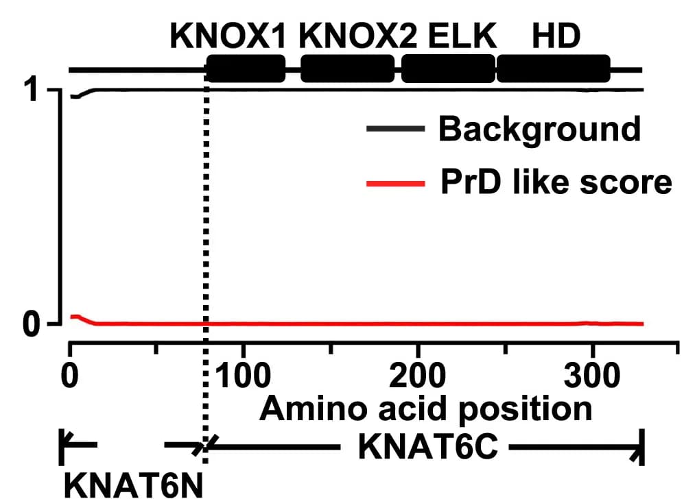 Open access visualization of Line Plot, Protein Domain, PrD Domain, KNAT6, PLAAC