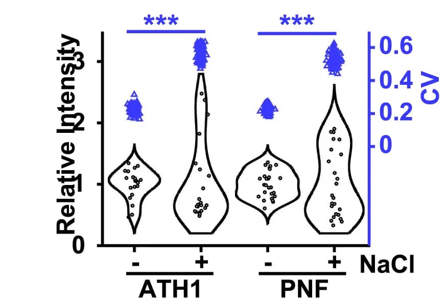 Open access visualization of Violin Plot, Scatter Plot, Fluorescence Intensity Distribution, Pixels, Violin Graphs