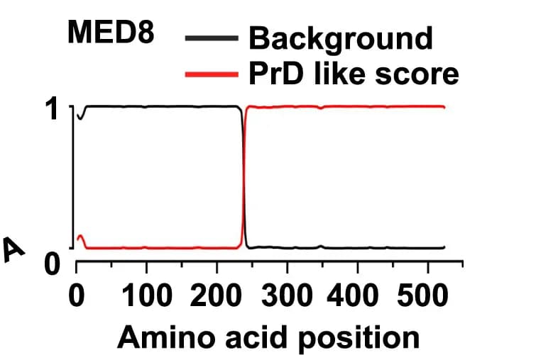 Open access visualization of Line Plot, PrD Domain, MED8, PLAAC