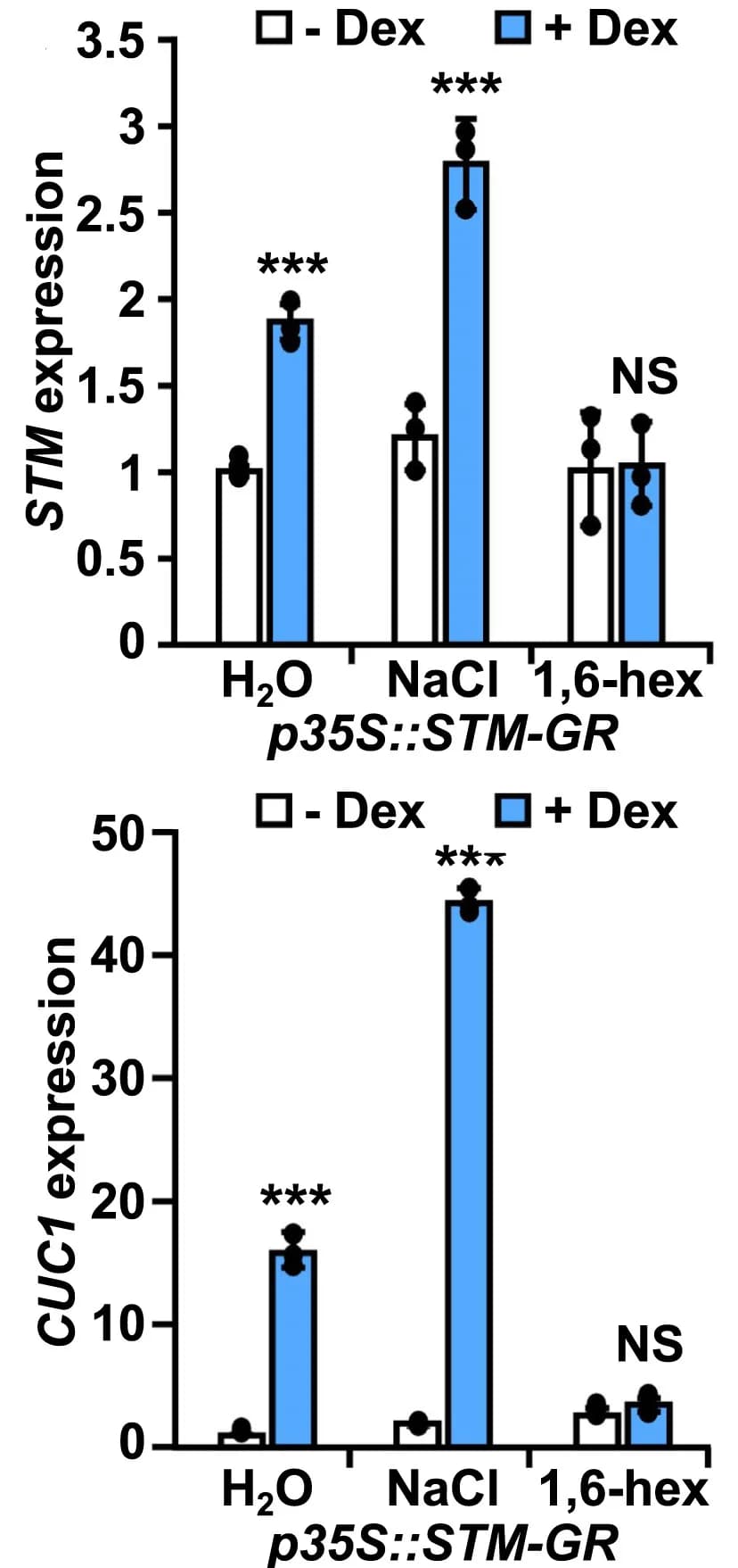 Open access visualization of Bar Plot, Error Bars, qRT-PCR, STM, CUC1