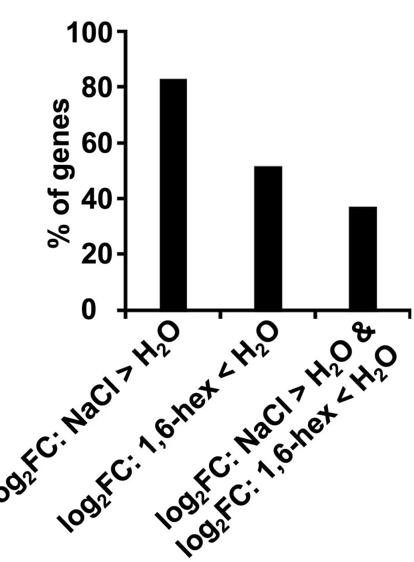 Open access visualization of Bar Plot, STM-regulated genes, NaCl, 1,6-hex, Gene Regulation