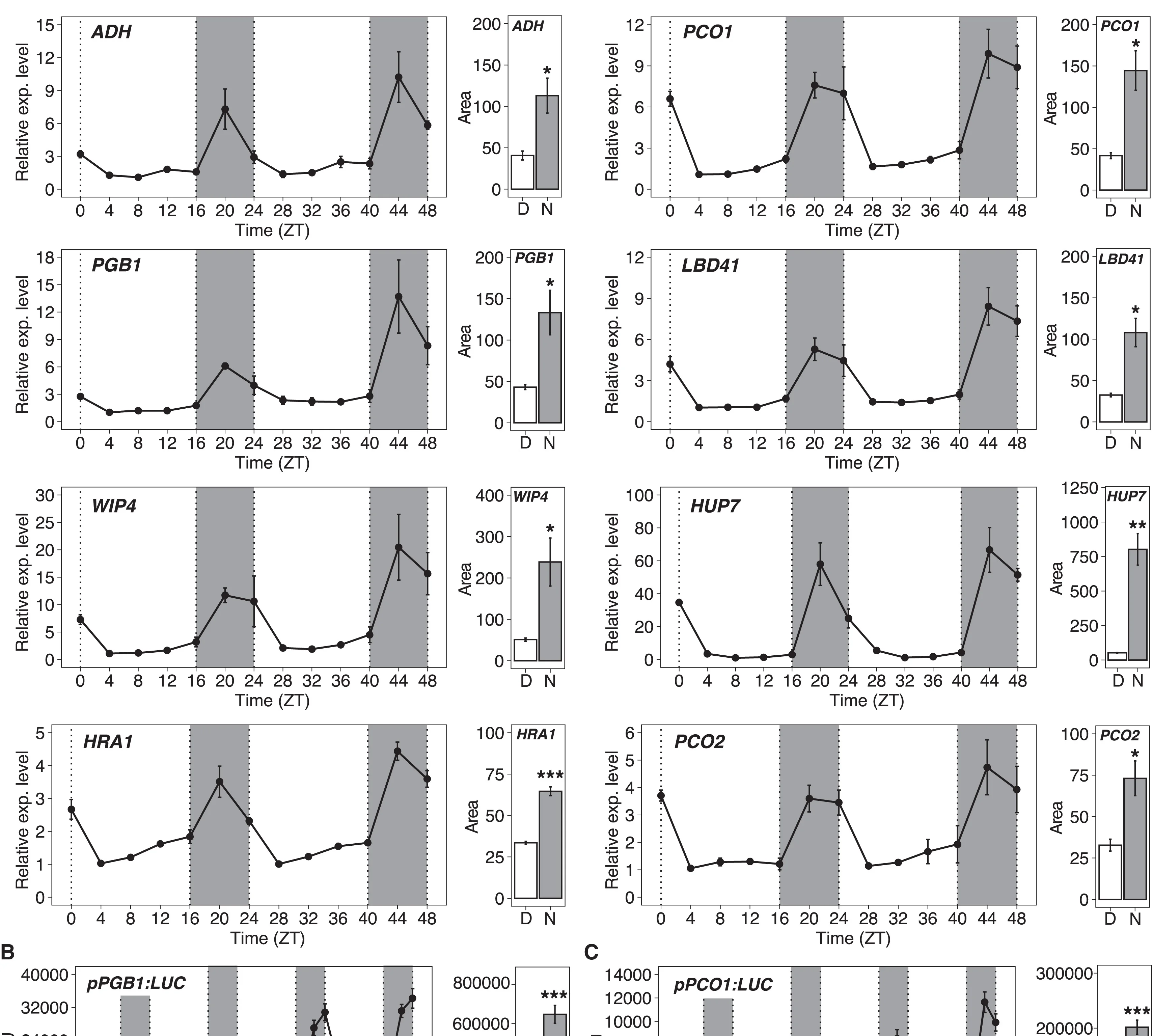 Open access visualization of Line Plot, Error Bars, Bar Plot, Gene Expression Analysis, Hypoxia Responsive Genes