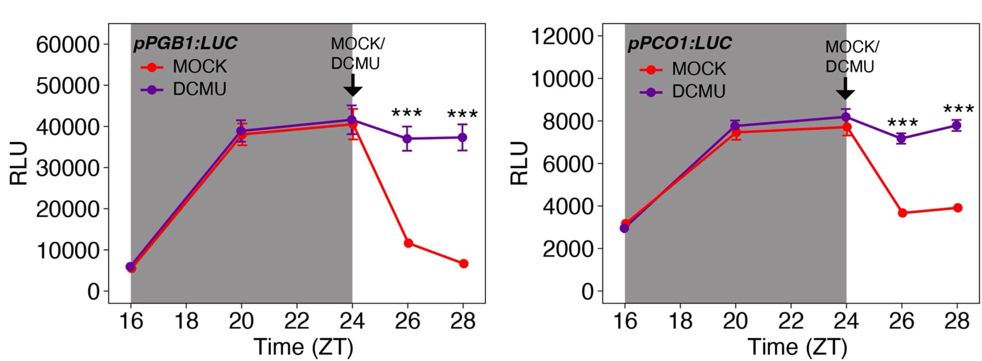 Open access visualization of Line Plot, Error Bars, Luciferase Activity, pPGB1:LUC Seedlings, pPCO1:LUC Seedlings