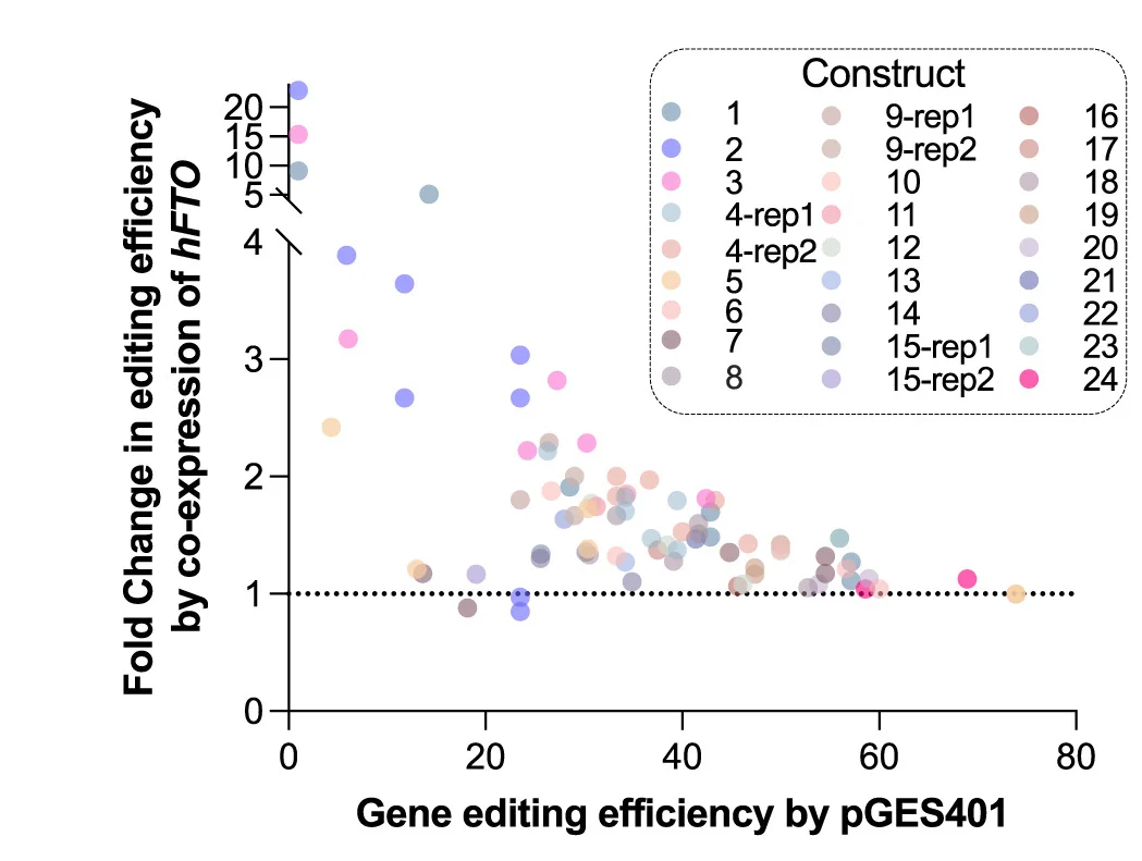 Open access visualization of Scatter Plot, Editing Efficiency, sgRNA, hFTO, pGES401