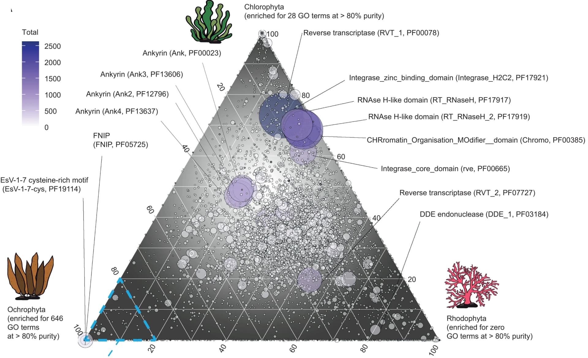 Open access visualization of Bubble Plot, Ternary Plot, PFAM, Chlorophyta, Rhodophyta
