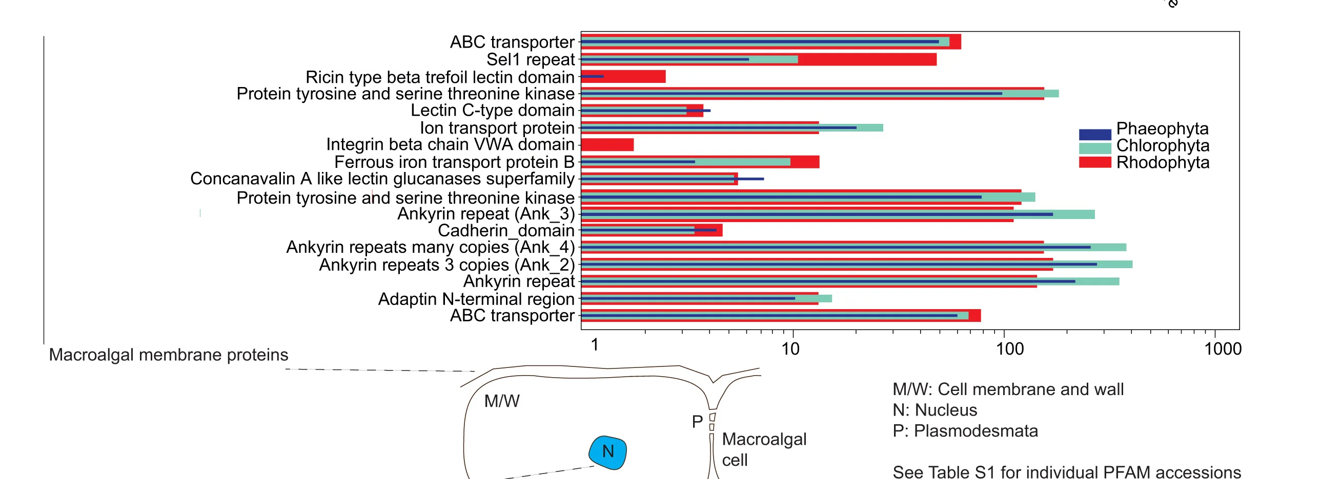 Open access visualization of Bar Plot, Clustered, Illustration, PFAM, Lineages