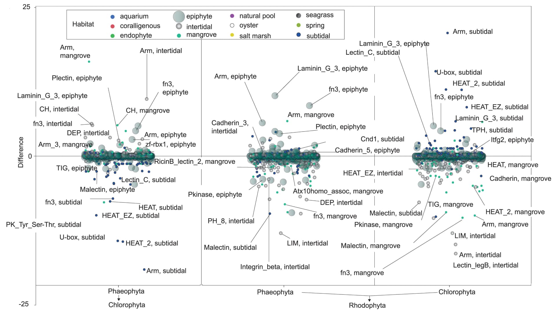 Open access visualization of Scatter Plot, Bubble Plot, Macroalgal Adhesome, PFAM, Phyla