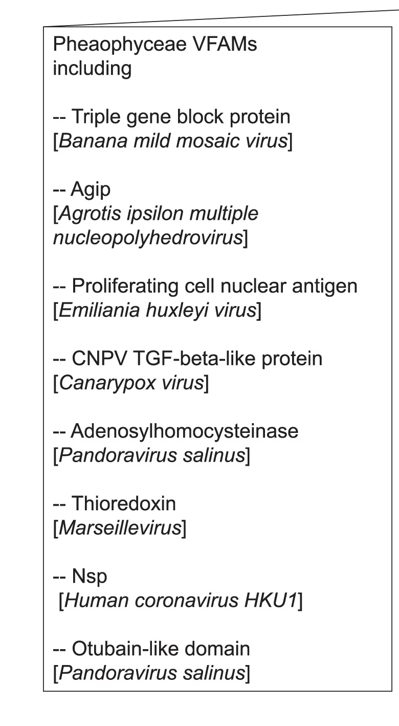 Open access visualization of Illustration, Table Image, Phaeophyceae, VFAMs, Phyla